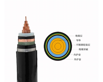 ZC-YJV62 26/35KV 雙菱電纜